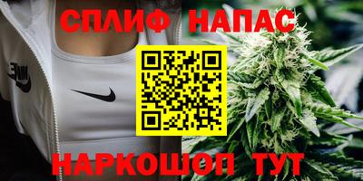 тгк Камышлов
