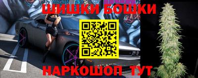 крисы Кандалакша