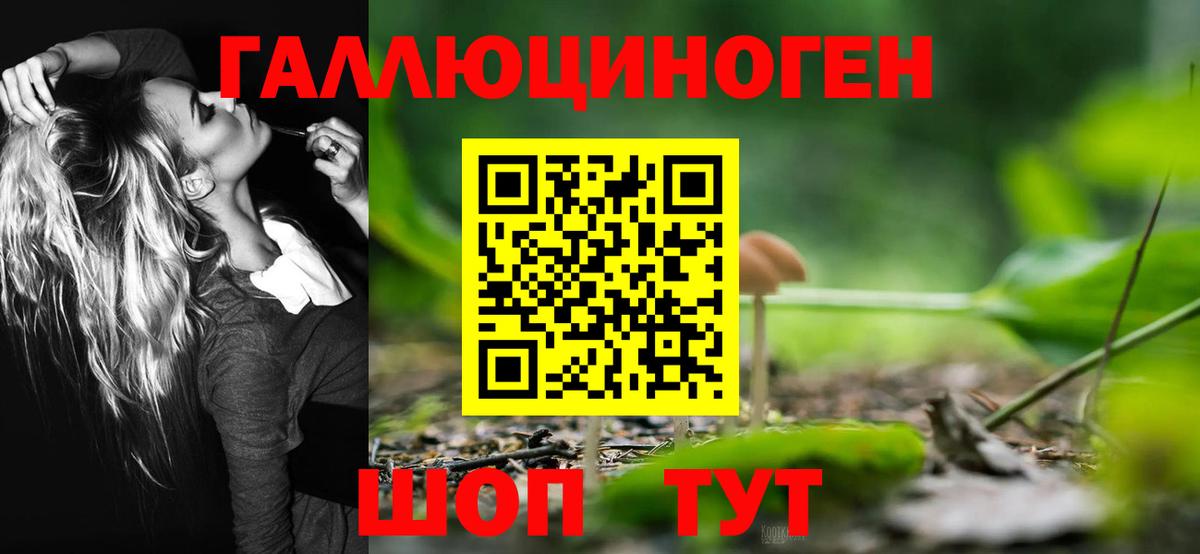 Кудрово  Псилоцибиновые грибы ЛСД  Вход с VPN 